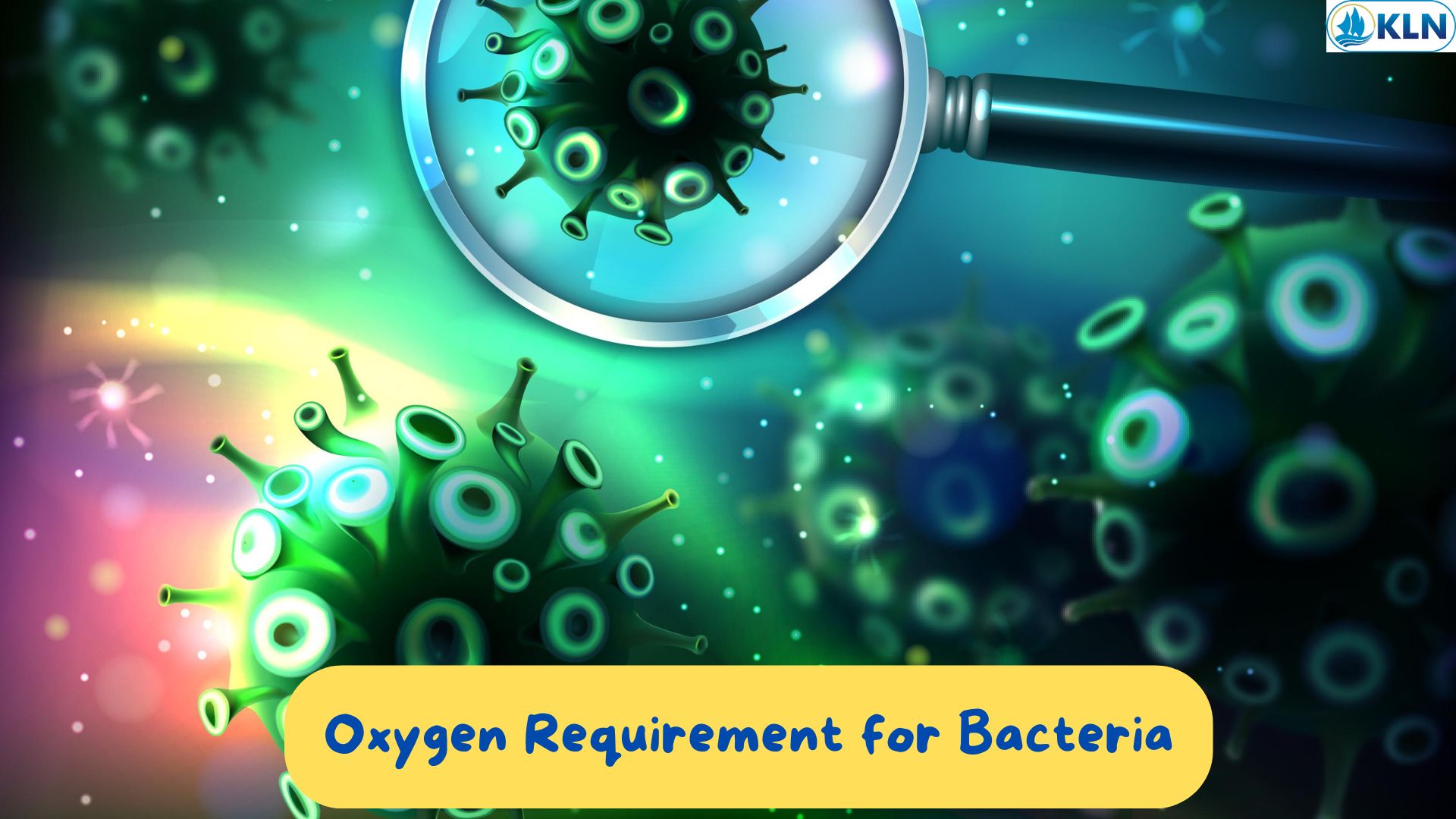 Oxygen Requirement for Bacteria